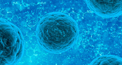 bacterias produciendo esterol